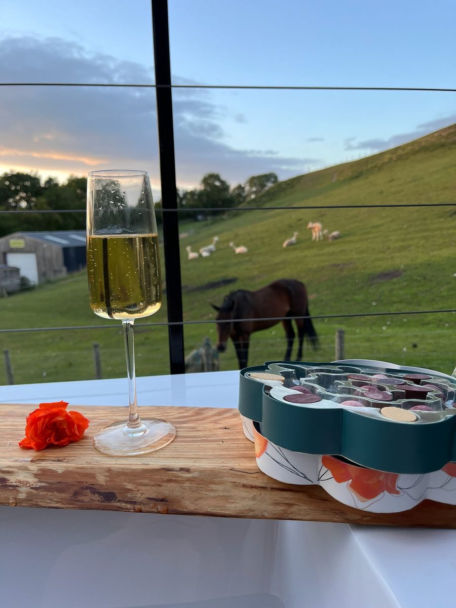 Welcome glass of fizz and chocolates by a lodge window overlooking grazing horses and alpacas at dusk